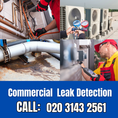 Commercial Leak Detection Services in Istead Rise | Istead Rise Leak Detection