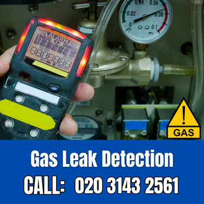 Expert Gas Leak Detection Services in Istead Rise | Istead Rise Leak Detection