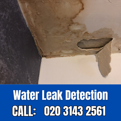 Expert Water Leak Detection Services in Istead Rise | Istead Rise Leak Detection